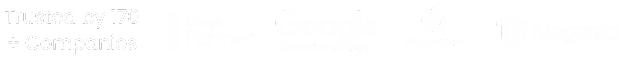 Online Optimisation